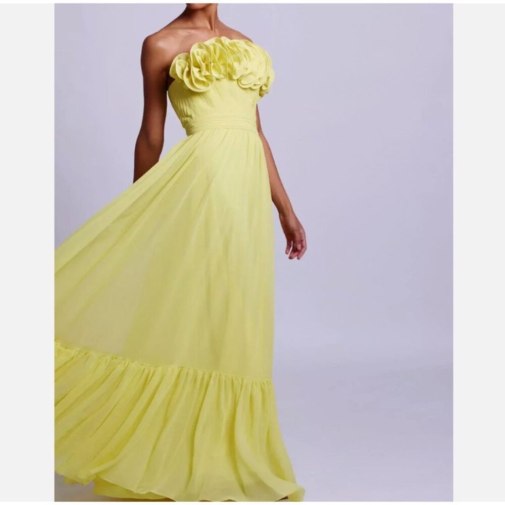 PatBo Pleated Strapless Maxi Dress - Picture 3 of 5